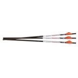 Ravin R144 Lighted Arrows 500 Gr Pure Carbon 9 PK