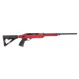 New Ruger + Timber Creek 10/22  Enforcer ( 22 LR )