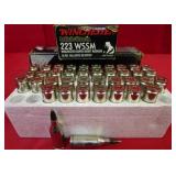 Winchester Ballistic Silvertip 223 WSSM ( 39 RDS )