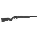 New Ruger 10/22 ( 22 LR )