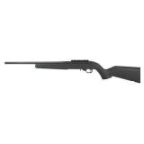 New Ruger 10/22 ( 22 LR )
