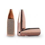 Barnes Bullets Varmint Grenade 223 Rem ( 500 RDS )