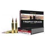 Nosler Long-Range 30-378 Wthby Mag ( 40 RDS )