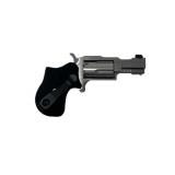 New NAA Mini-Revolver Rule 1 ( 22 Mag )