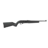 New Ruger 10/22 ( 22 LR )