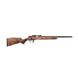 New Retay Asend ( 22 LR )