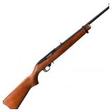 New Ruger 10/22 ( 22 LR )