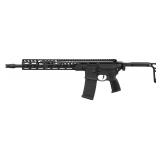 New Sig Sauer MCX Spear LT ( 5.56 NATO )