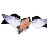 New Avian X PowerFlight Spinning Wing Dove