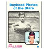 1973 TOPPS HOF JIM PALMER CARD