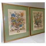1730 Furbers Twelve Months of Flowers Folio Plates