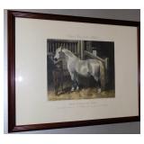 Cart Mare and Foal Aquatint Engraving Herring 1854