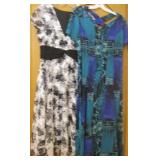 Two Dresses Size 12