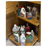 Lower Laundry Cabinet Contents Cleaning