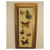 6x 14 Butterfly Print On Wood Wall Decor