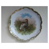 11.5' Diameter Collectors Plate