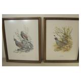 Pair 13.5x 16.5 Framed Bird Prints