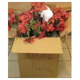 Box Holiday Poinsettias, Sprigs & Decor