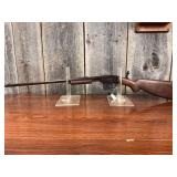 Savage Pump 22 S, L, LR Rifle