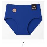 Blue High-Waisted Briefs