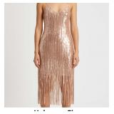 Shimmery Fringe Dress
