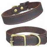 QRDA Brown Leather Dog Collar, S