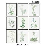 LANCHI95 Vintage Roses Botanical Prints x4
