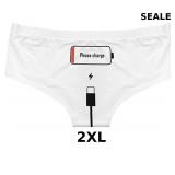 Womens Underwear Sexy Stretch Ladies Panties Low