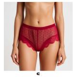 Red Sheer Lace Briefs