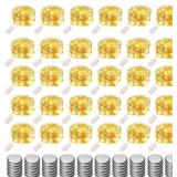 FENSTY 24pcs LED Fairy Lights