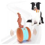 Interactive Dog Toy