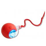 PETZY Interactive Pet Ball Toy
