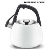 Cuisinart 2Qt Stainless Steel Tea Kettle