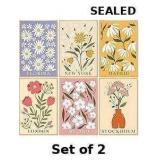 6 Pack Paint by Numbers Kit for Adults x2