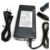 24V 5A Fast Battery Charger