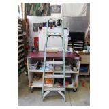 Ladder [8] Wener 6' Fiberglass Ladder