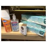 Clorox spray, purell, tissues, S/P shakers