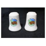 Old Fort Harrod Salt and Pepper Shakers