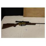 Sears Roebuck BB Gun