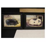 Primitive Pig Pictures by A. Churchill