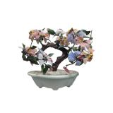 Chinese Blossom Tree in Bonsai Planter (A)