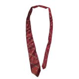 Signor Angelo 100% Silk Necktie Red w/ Green (C)