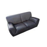 Schreiters Navy Blue Top-Grain Leather Sofa