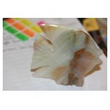 Onyx Angel Fish