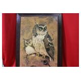 A Framed Owl Print