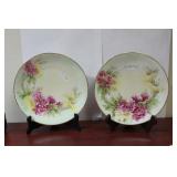 A Pair of Handpainted Floral Plate