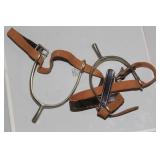 Pair of Spurs