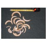 Lot of Warthog Tusks