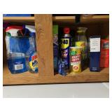 Shelf Cleanout - Household Cleaning & Maintenance Products