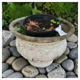 Concrete Garden Urn Planter Pot W Rope & Scroll Relief Design